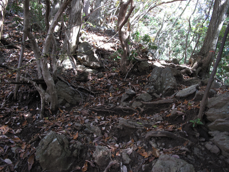 20151116hike (65)